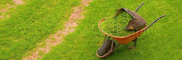 Garden Maintenance Services