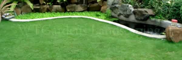 Grass Supply & Installation